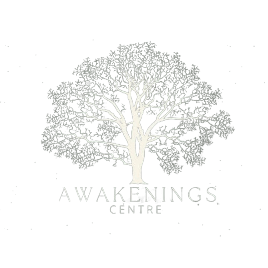 The Awakenings Centre